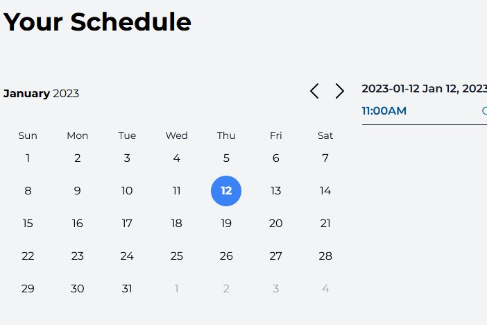 Calendar showing appointments